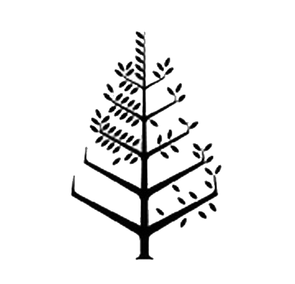 梅杰夫四季酒店 Logo